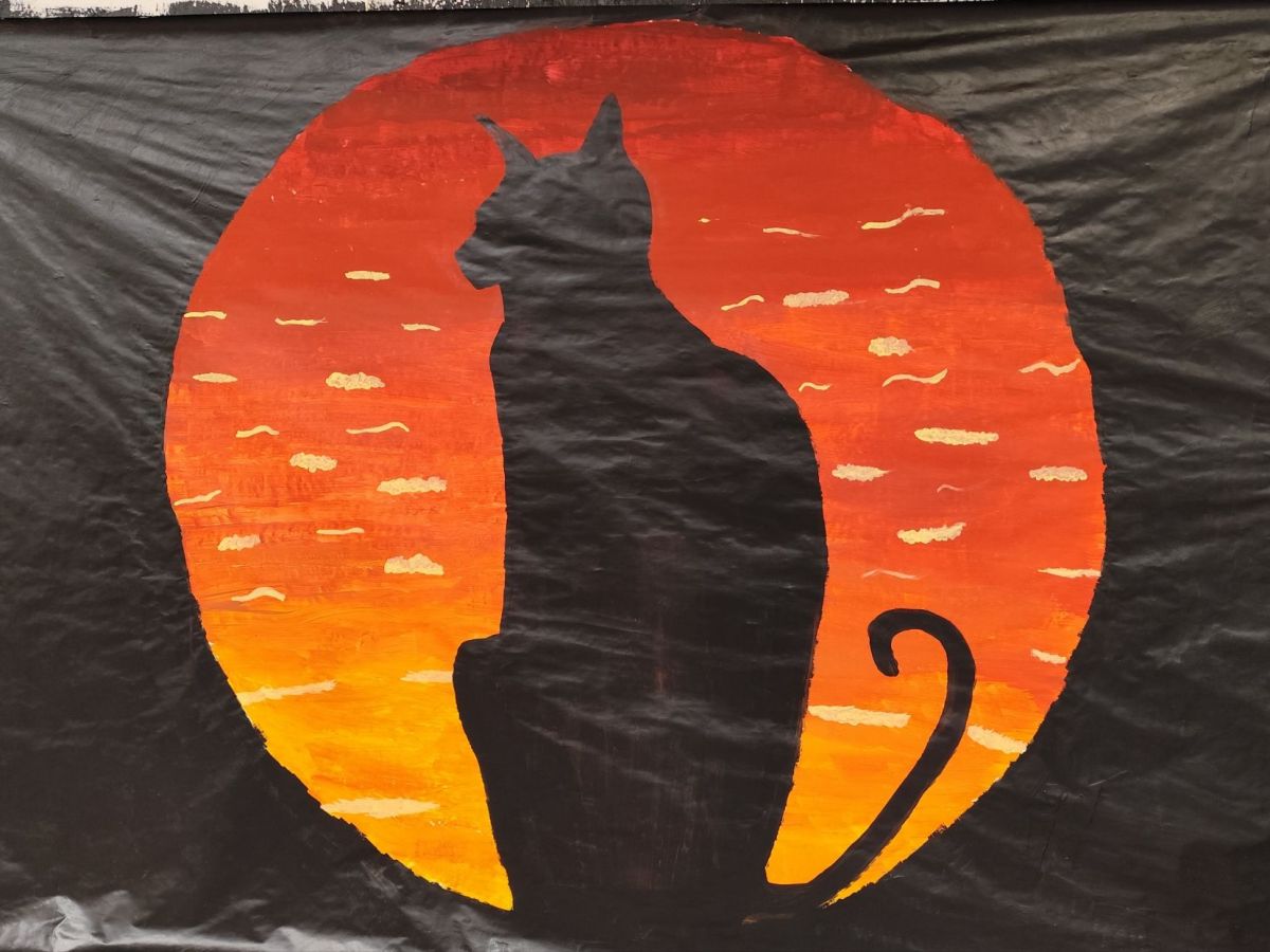 geheimnisvolle Katze